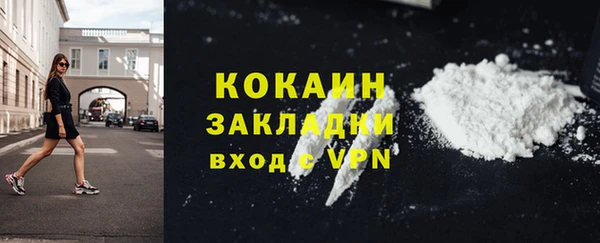 гидра Белокуриха