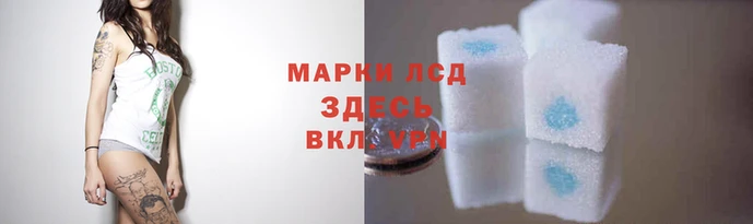гидра Белокуриха
