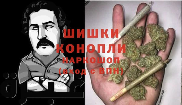 гидра Белокуриха