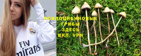 мяу мяу мука Пролетарск