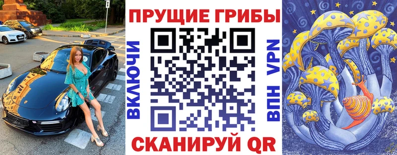 Псилоцибиновые грибы MAGIC MUSHROOMS  блэк спрут ССЫЛКА  Видное 